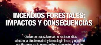 Incendios Forestales: Impactos y Consecuencias