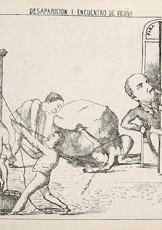 Desaparicin y encuentro de Vicua