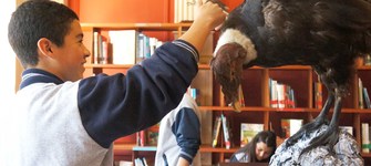 imagen imagen_portada.jpg