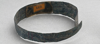 Brazalete (vista posterior)