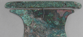 Placa (vista lateral)