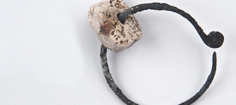 Aro (vista posterior)