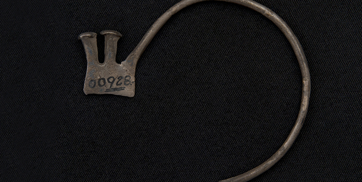 Aro (vista posterior)