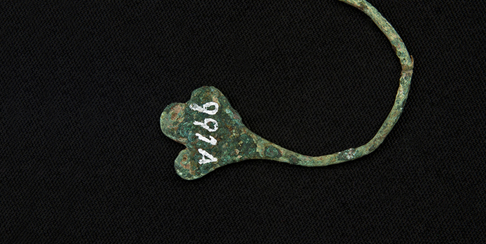 Aro (vista posterior)