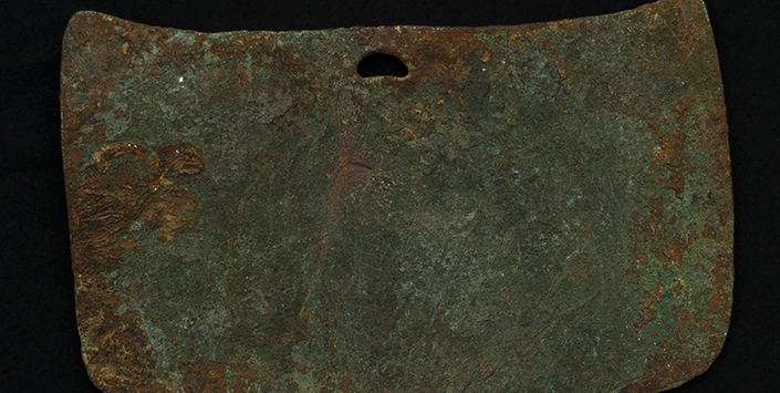 Placa (vista posterior)