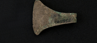 Pinzas (vista posterior)