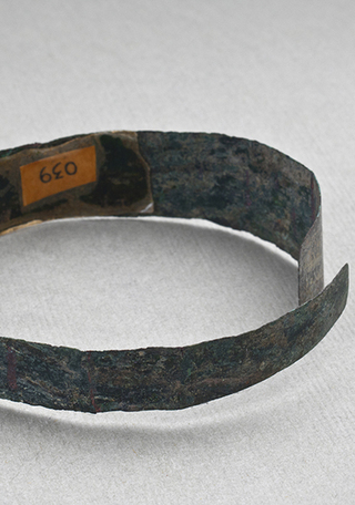 Brazalete (vista posterior)