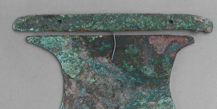 Placa (vista lateral)