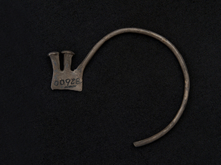 Aro (vista posterior)