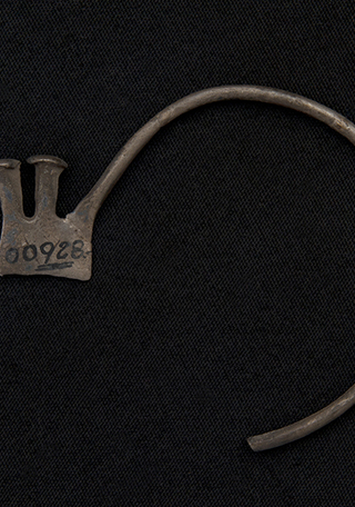 Aro (vista posterior)