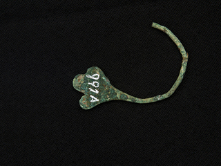 Aro (vista posterior)