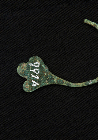 Aro (vista posterior)