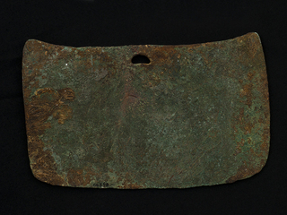 Placa (vista posterior)