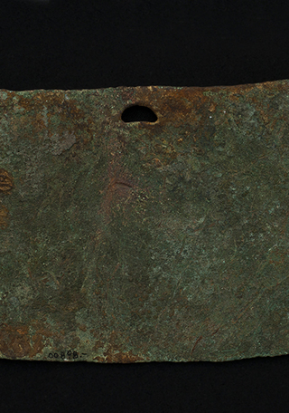 Placa (vista posterior)