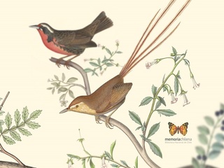 imagen imagen_portada.jpg