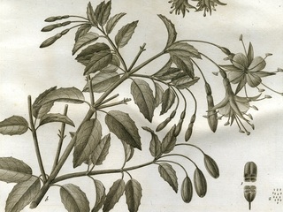 imagen imagen_portada.jpg