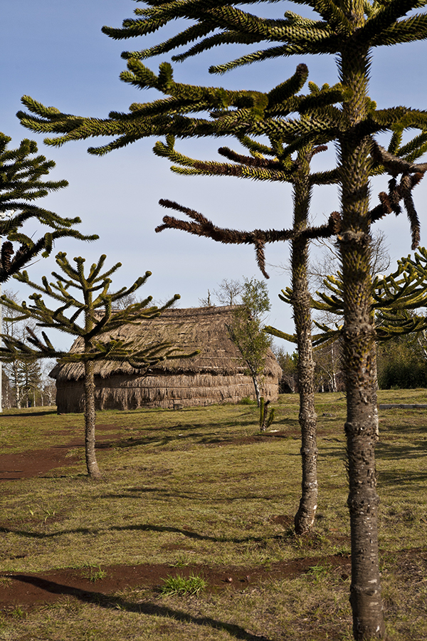 imagen imagen_01.jpg