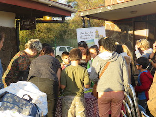 imagen imagen_29.jpg