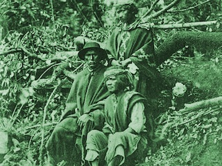 imagen imagen_portada.jpg