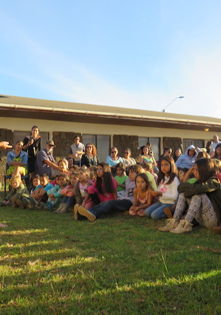 imagen imagen_18.jpg