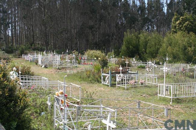 Imagen del monumento Eltun o cementerio mapuche ubicado en la localidad de Los Huape