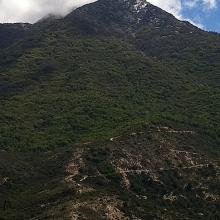 Imagen del monumento Sector del cerro El Roble