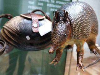 imagen imagen_portada.jpg