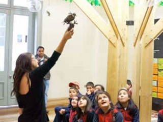 imagen imagen_portada.jpg