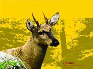 imagen imagen_portada.jpg