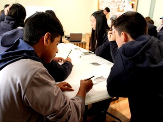 Taller de dibujo anatmico animal