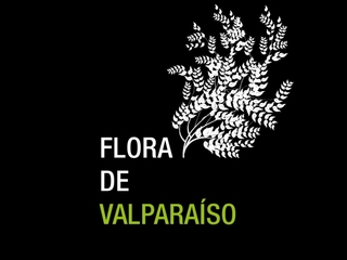 Flora de Valparaso