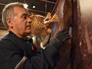 imagen imagen_portada.jpg