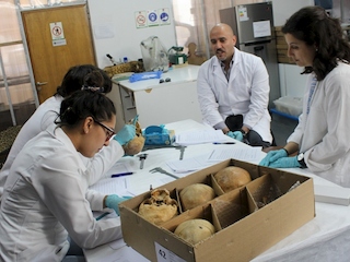 Programa de antropologa dental, laboratorio de ciencias MHNV