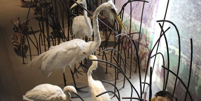 Humedales para un Futuro Sostenible