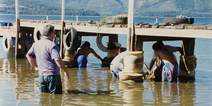 Amarre de wampo al muelle