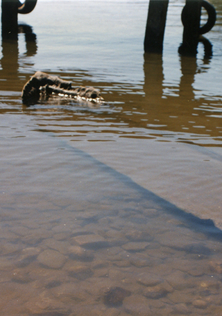 Amarre de wampo al muelle (detalle)