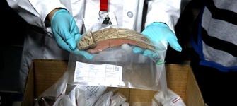 Desafos de las Colecciones Arqueolgicas en un Mundo Globalizado