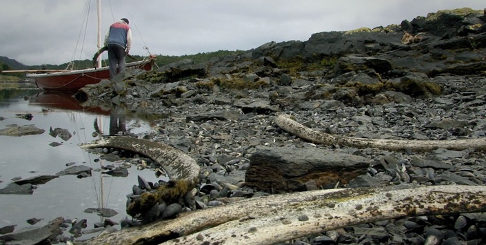 imagen recurso_1.jpg