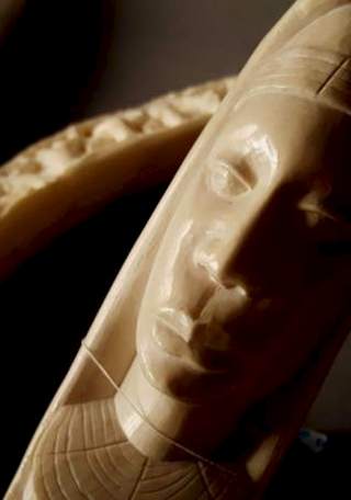 Esto no es Patrimonio: Colmillos de Marfil