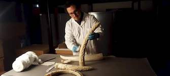 Esto no es Patrimonio: Colmillos de Marfil