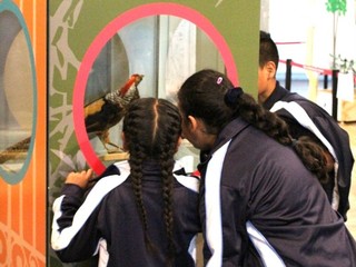 La Pieza del Mes: un Homenaje a los 139 ao del Museo