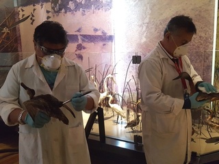 Programa en Gestin de Exposiciones Permanentes