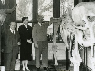 MHNV: 50 aos de publicaciones cientficas