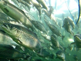 imagen imagen_portada.jpg