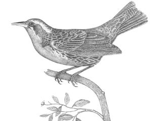 imagen imagen_portada.jpg