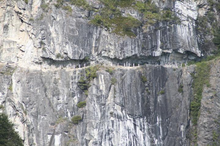 Imagen del monumento Paso San Carlos