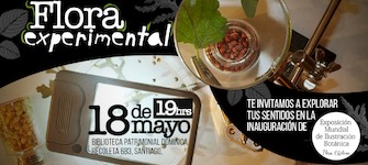 Taller de Fundacin Planificable