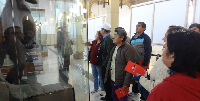 imagen imagen_01.jpg