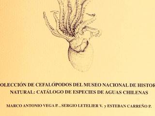 imagen imagen_portada.jpg