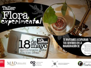 Taller de Fundacin Planificable